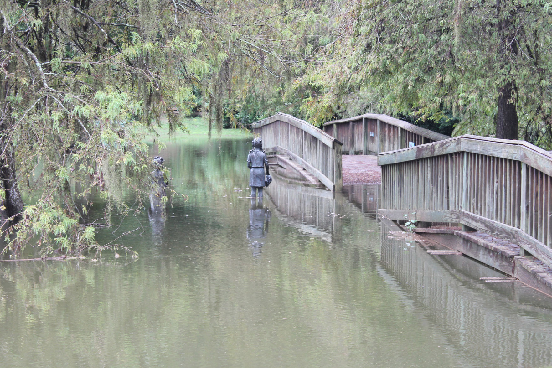 Edisto Gardens flooding